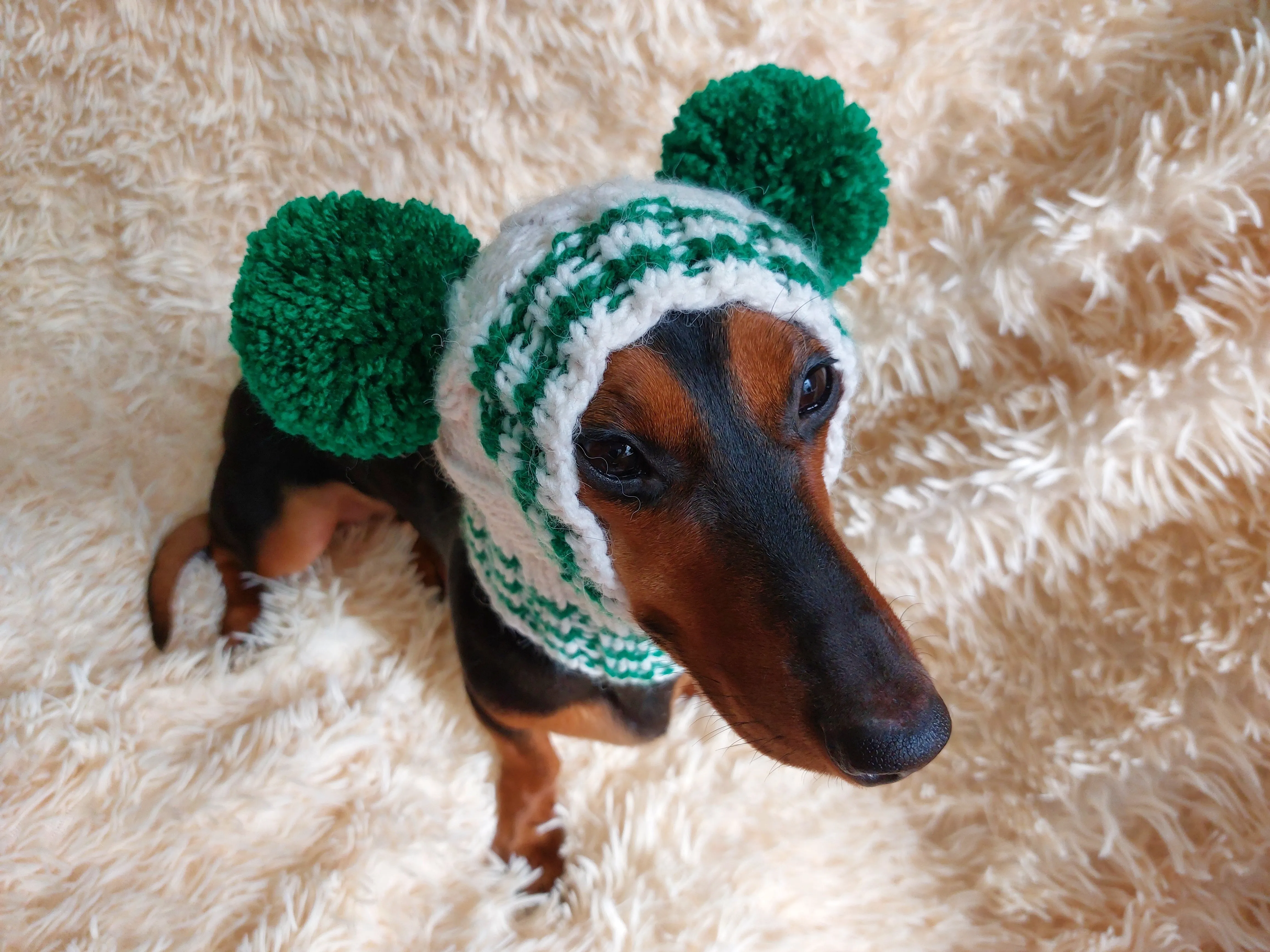Christmas Clothes Pet Outfit Pom Pom Hat, Pet clothes winter warm wool snood hat for small dogs with pompom, pet gift, dog gift
